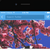 Twitter趋势功能可在Android移动应用上看到更新