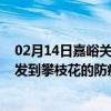 02月14日嘉峪关前往攀枝花出行防疫政策查询-从嘉峪关出发到攀枝花的防疫政策