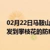 02月22日马鞍山前往攀枝花出行防疫政策查询-从马鞍山出发到攀枝花的防疫政策