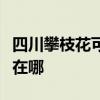 四川攀枝花可提供格力中央空调维修服务地址在哪