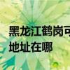 黑龙江鹤岗可提供麦克维尔中央空调维修服务地址在哪