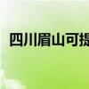 四川眉山可提供TCL冰箱维修服务地址在哪