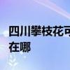 四川攀枝花可提供格兰仕洗衣机维修服务地址在哪