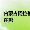 内蒙古阿拉善可提供海尔洗衣机维修服务地址在哪