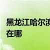 黑龙江哈尔滨可提供海顿壁挂炉维修服务地址在哪