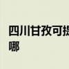 四川甘孜可提供惠而浦洗碗机维修服务地址在哪