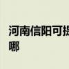 河南信阳可提供小松鼠壁挂炉维修服务地址在哪