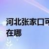 河北张家口可提供小松鼠壁挂炉维修服务地址在哪