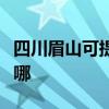 四川眉山可提供帝博仕壁挂炉维修服务地址在哪