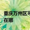 重庆万州区可提供创尔特壁挂炉维修服务地址在哪