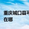 重庆城口县可提供格兰仕洗碗机维修服务地址在哪