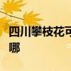 四川攀枝花可提供依玛壁挂炉维修服务地址在哪