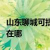 山东聊城可提供瑰都啦咪壁挂炉维修服务地址在哪