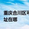 重庆合川区可提供伊莱克斯洗碗机维修服务地址在哪