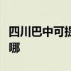 四川巴中可提供菲斯曼壁挂炉维修服务地址在哪