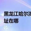 黑龙江哈尔滨可提供卡洛力壁挂炉维修服务地址在哪