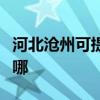 河北沧州可提供帝博仕壁挂炉维修服务地址在哪