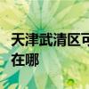 天津武清区可提供菲斯曼壁挂炉维修服务地址在哪