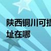 陕西铜川可提供哈曼卡顿家庭影院维修服务地址在哪