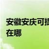 安徽安庆可提供飞利浦家庭影院维修服务地址在哪