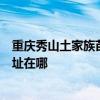 重庆秀山土家族苗族自治县可提供新科家庭影院维修服务地址在哪