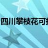 四川攀枝花可提供豪韵音响维修服务地址在哪