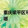 重庆梁平区可提供龙的吸尘器维修服务地址在哪