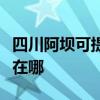 四川阿坝可提供马兰士家庭影院维修服务地址在哪