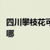 四川攀枝花可提供德龙微波炉维修服务地址在哪