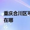 重庆合川区可提供康宝抽油烟机维修服务地址在哪