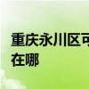 重庆永川区可提供海尔抽油烟机维修服务地址在哪