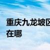 重庆九龙坡区可提供老板消毒柜维修服务地址在哪