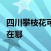 四川攀枝花可提供欧意抽油烟机维修服务地址在哪