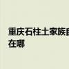 重庆石柱土家族自治县可提供苏泊尔抽油烟机维修服务地址在哪