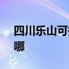 四川乐山可提供SKG电磁炉维修服务地址在哪