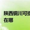 陕西铜川可提供格兰仕抽油烟机维修服务地址在哪