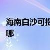 海南白沙可提供格兰仕电磁炉维修服务地址在哪