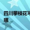 四川攀枝花可提供九阳电饭煲维修服务地址在哪