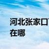 河北张家口可提供SKG消毒柜维修服务地址在哪