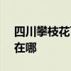 四川攀枝花可提供SKG消毒柜维修服务地址在哪