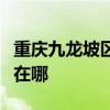 重庆九龙坡区可提供神州消毒柜维修服务地址在哪