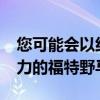 您可能会以约45000美元的价格前往1200马力的福特野马