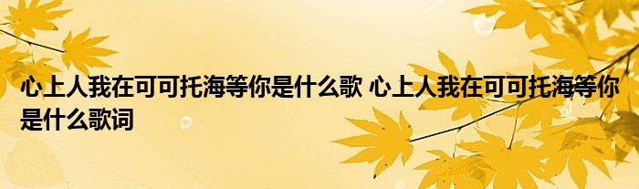 心上人我在可可托海等你是什麼歌 心上人我在可可托海等你是什麼歌詞