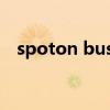 spoton business dashboard（spoto）