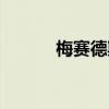 梅赛德斯奔驰E级外观方面展示