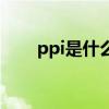 ppi是什么意思啊（ppi是什么意思）