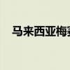 马来西亚梅赛德斯奔驰发布更新的价格表