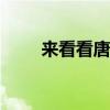 来看看唐骏赛菱A6微卡的相关内容