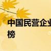 中国民营企业500强揭晓 骆驼股份连续7年上榜