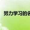 努力学习的名言短句子（努力学习的名言）